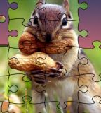 Real Jigsaw Puzzle Real Jigsaw Puzzle
