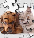 Cats Vs Dogs Puzzle Cats Vs Dogs Puzzle