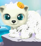 Paws To Beauty Arctic Edition Paws To Beauty Arctic Edition