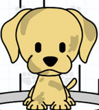 Pampered Paws Doggy Day Pampered Paws Doggy Day