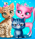 Cat Hair Salon Cat Hair Salon
