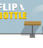 Flip Bottle Flip Bottle