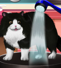 Paws To Beauty 2 Paws To Beauty 2